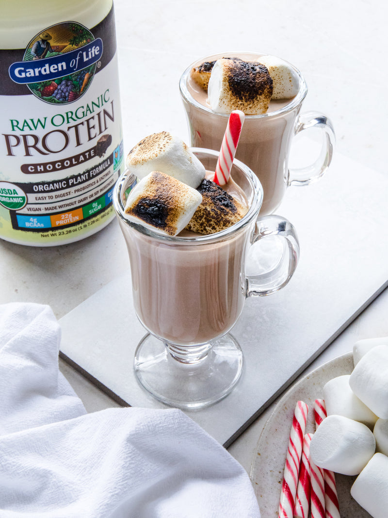 Hot Chocolate Smoothie