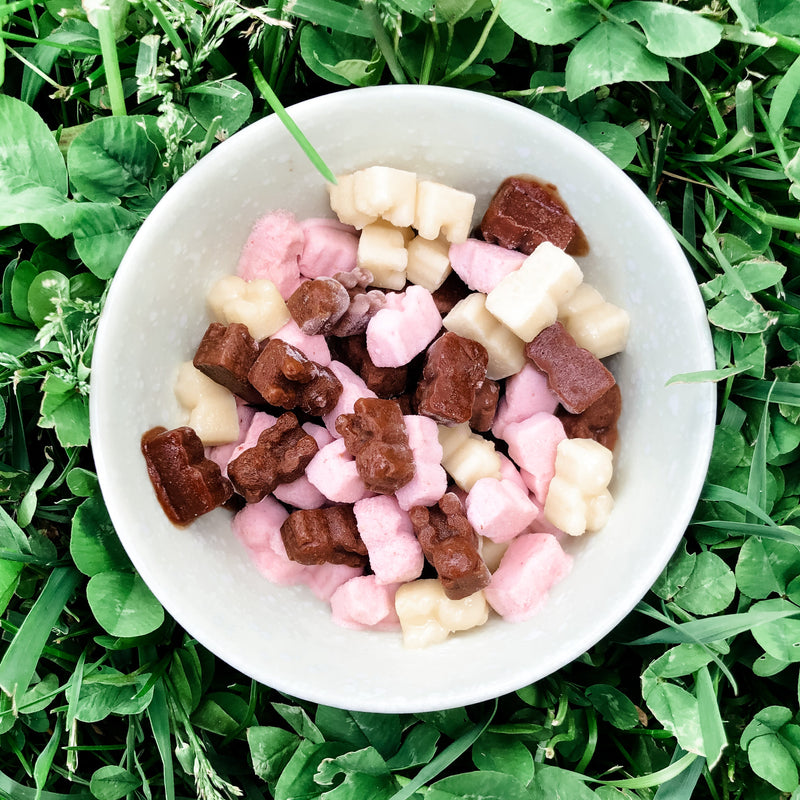 Neapolitan Ice Cream Bears with MCT & Protein