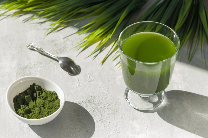 The Power of Greens & Chlorophyll