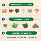 Raw Organic PROTEIN & Greens - Chocolate