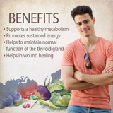 Organics Men's Once Daily Multi