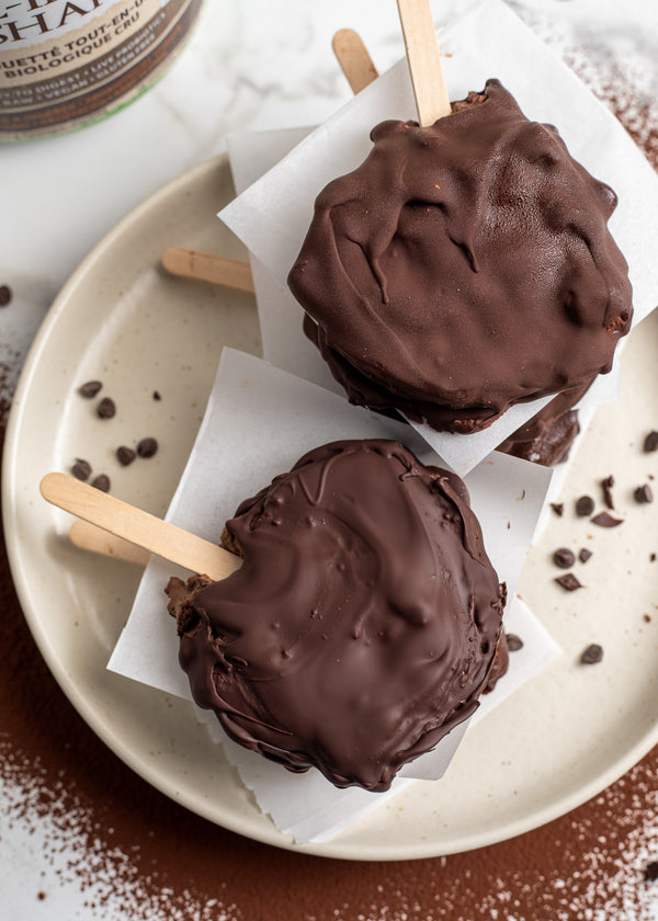 Chocolate Fudge Frozen Yogurt Pops