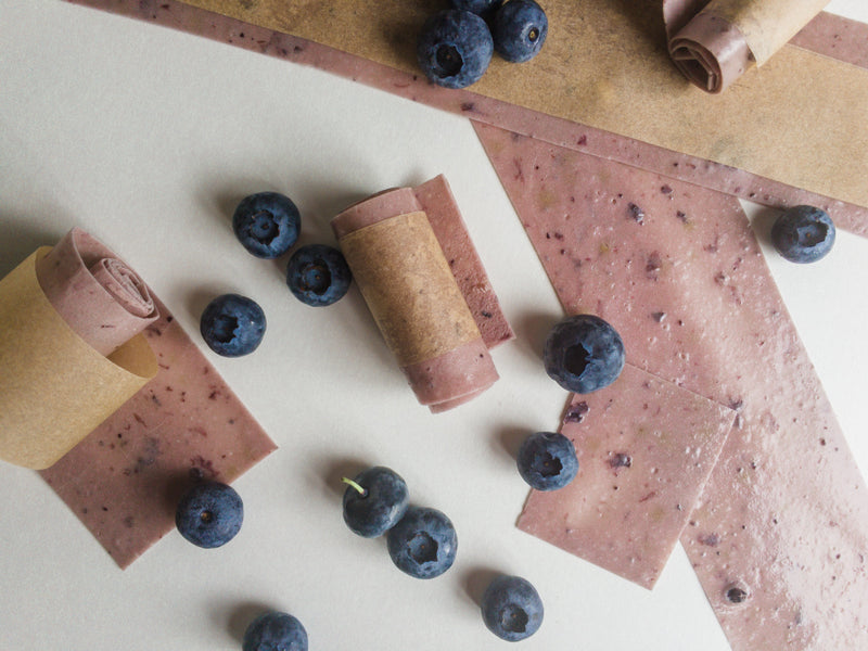 Blueberry Yogurt Roll Ups