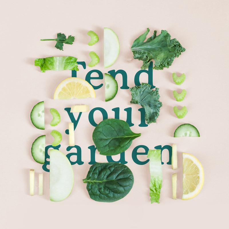 Garden of Life Invites You to Tend Your Garden!