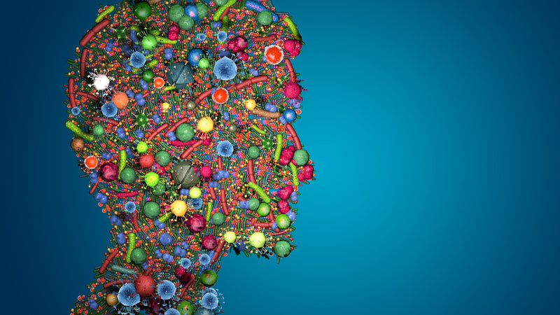 The Human Microbiome & Your Overall Health