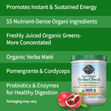 Raw Organic Perfect Food - Energizer