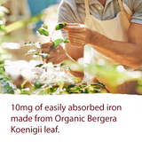 Organics Plant Iron & Herbs