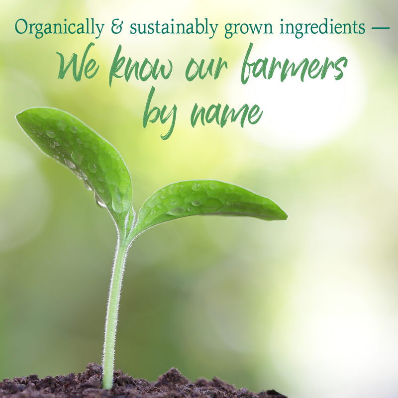 Raw Organic Perfect Food - Energizer