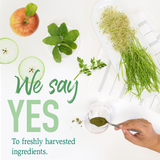 Aliment Cru Biologique - Superaliment Vert - Original